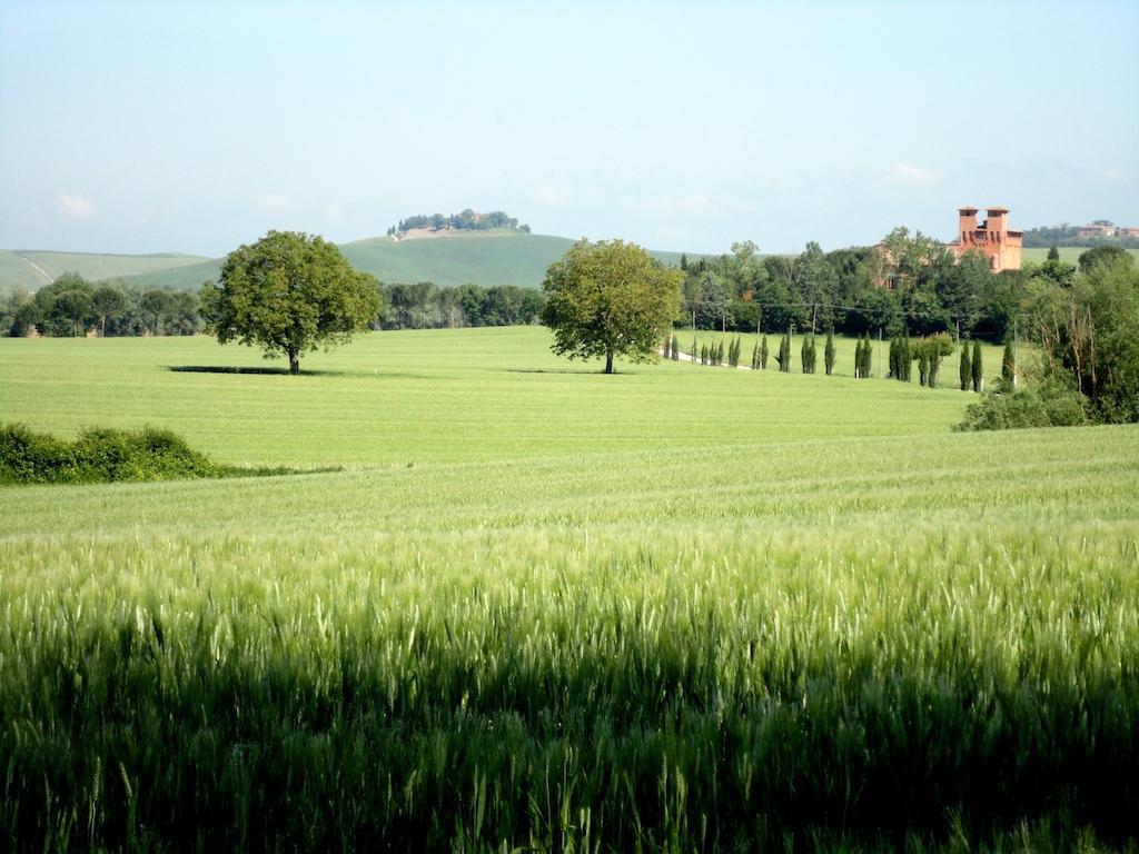 Castello Di San Fabiano Guest House มอนติโรนี ดาร์เบีย ภายนอก รูปภาพ