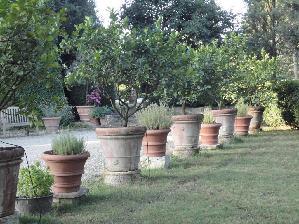 Castello Di San Fabiano Guest House มอนติโรนี ดาร์เบีย ภายนอก รูปภาพ